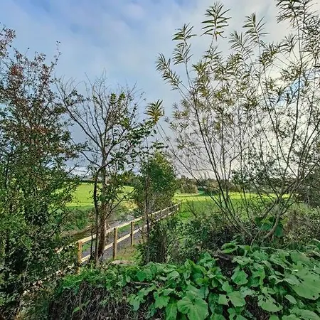 Riverside Limerick